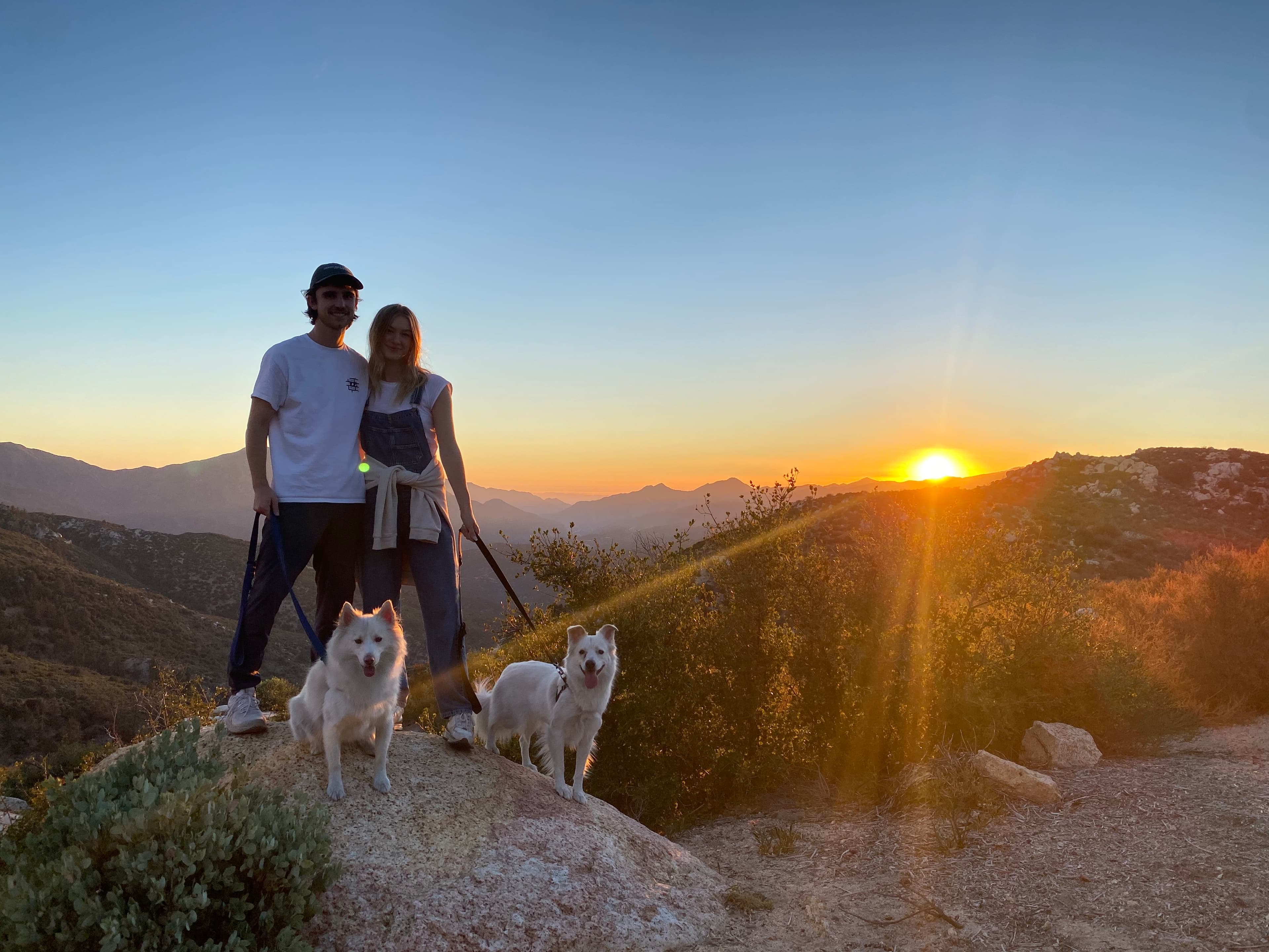 Me + Sarah + Dogs